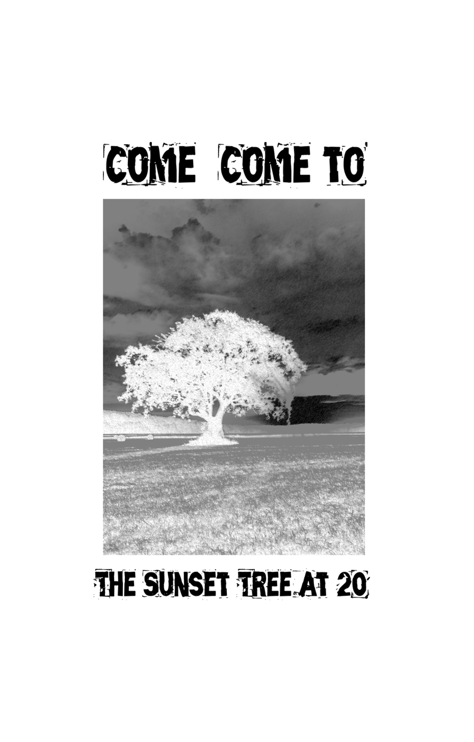 Come Come to The Sunset Tree at 20